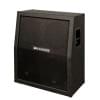 4x12 дюймов DV MARK C412 Standard